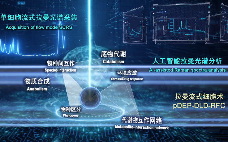 New Raman-based Flow Cytometry Tool Improves Methods to Rapidly Analyze Human, Plant, Fungal and Bacterial Metabolism