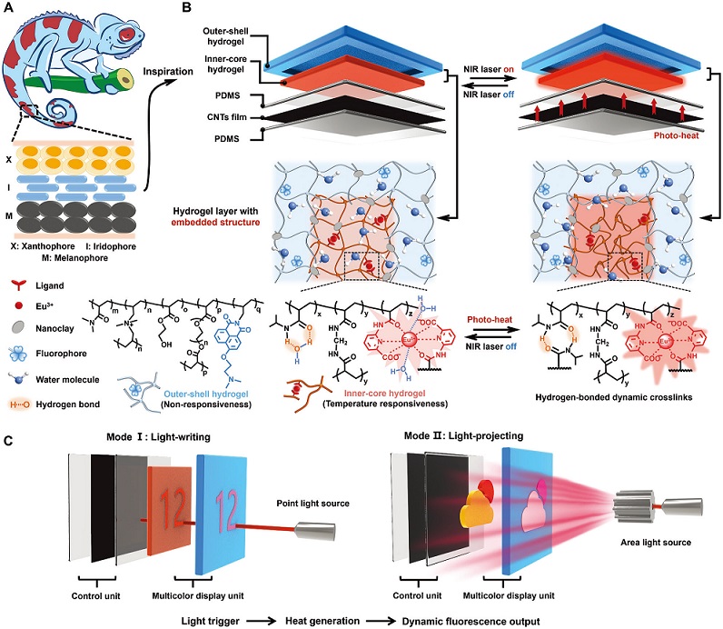 Novel Multicolor Fluorescent Hydrogel System Developed for On-demand Information Display