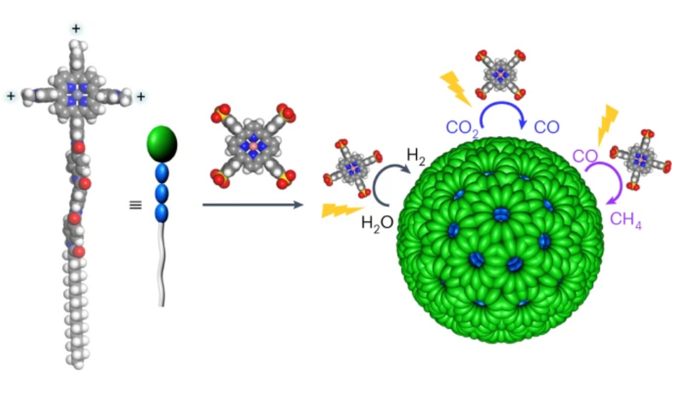 Researchers Develop Artificial Spherical Chromatophore Nanomicelles for Selective Carbon Dioxide Reduction in Water