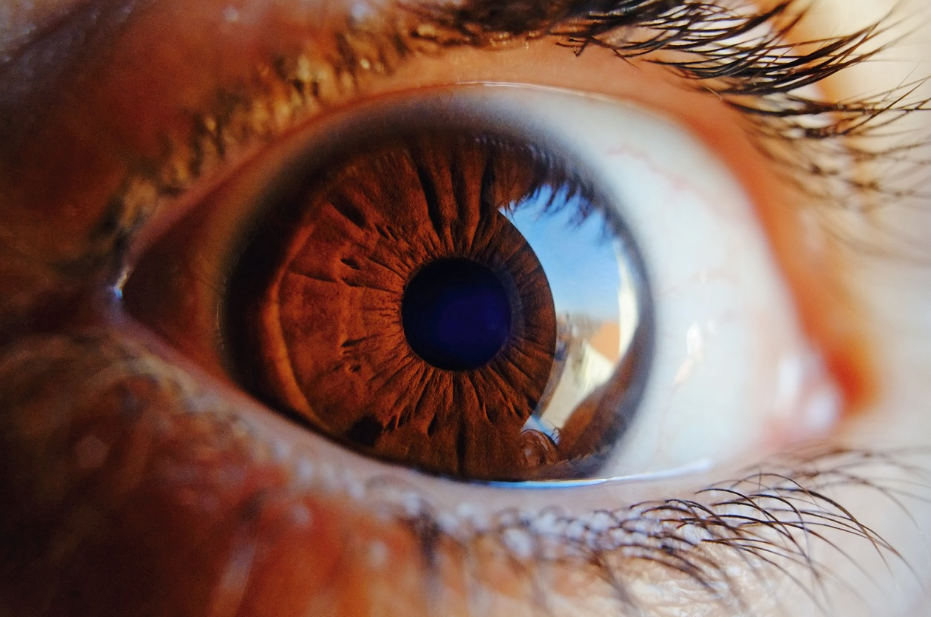 Life Motion Perception Unfolds in Pupils of Eyes