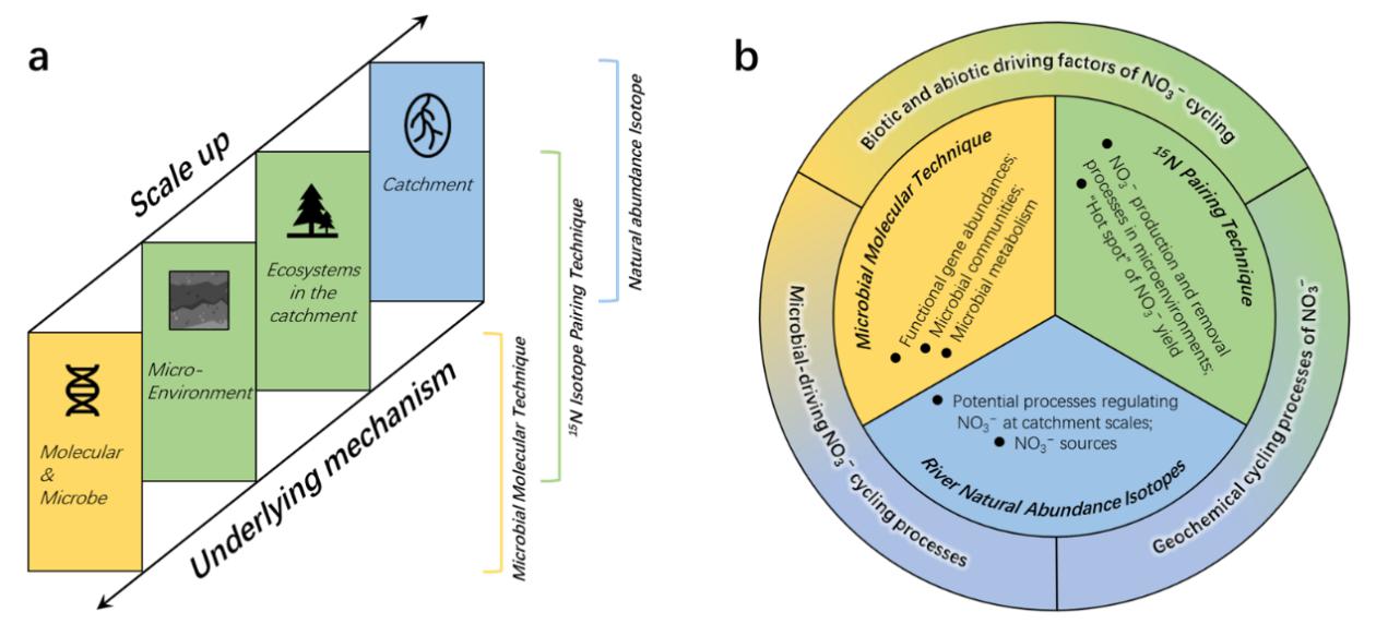 Novel Protocol Helps to Quantify Catchment-scale Nitrate Yield and Fluvial Export Dynamics