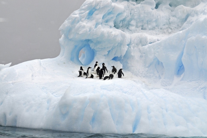 Study Reveals How Delayed Antarctic Melt Season Reduces Albedo Feedback