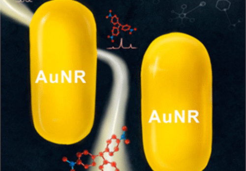 Scientists Use SERS Technology to Accurately Monitor Single-molecule Diffusion Behavior