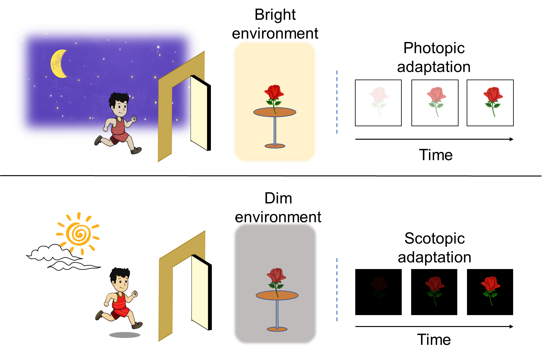 Scientists Develop Bioinspired Vision Sensor based on InP Quantum Dots/Oxide Thin-film Phototransistors