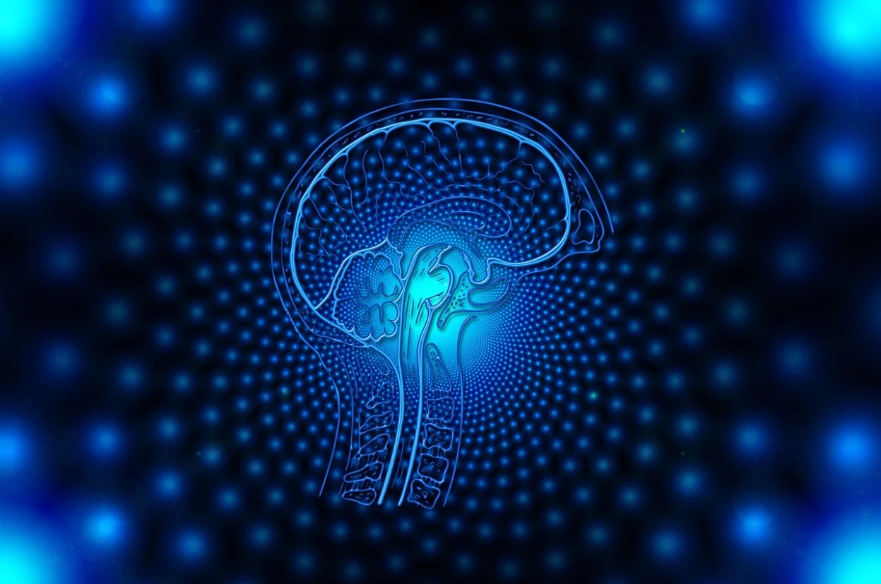 New Model Enhances Precision in Seizure Localization for Epilepsy Patients