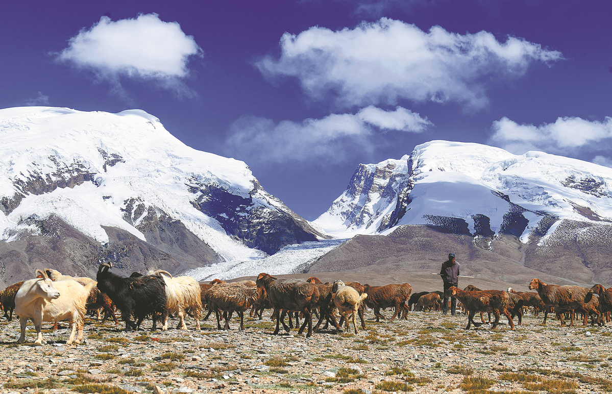 Study: Glaciers in Northwestern Regions Rapidly Melting