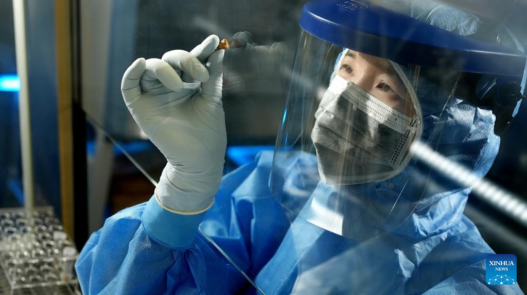 Cheese from Mummies' Graves Reveals Secrets of Ancient Fermentation