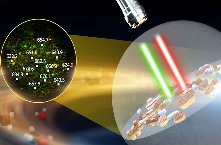 New Technique Developed for Measurement of Temperature Distribution Inside Single Catalyst Particle