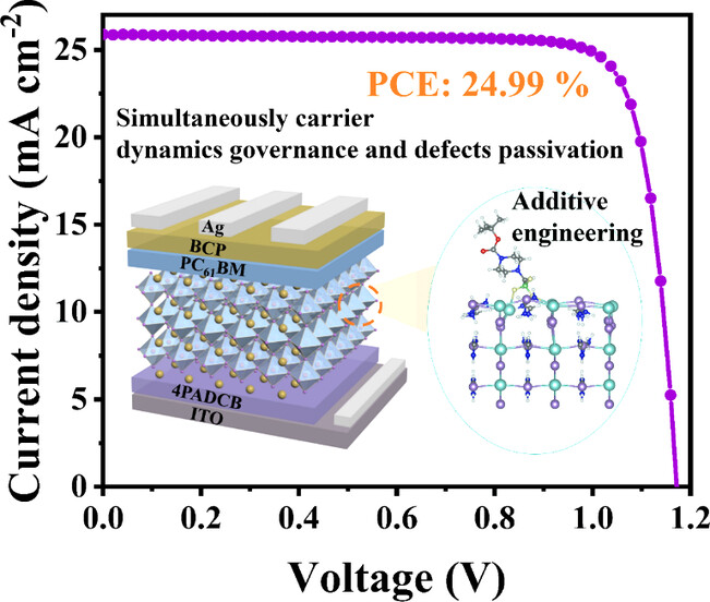 Novel Multifunctional Additive Boosts Efficiency and Stability of Inverted Perovskite Solar Cells