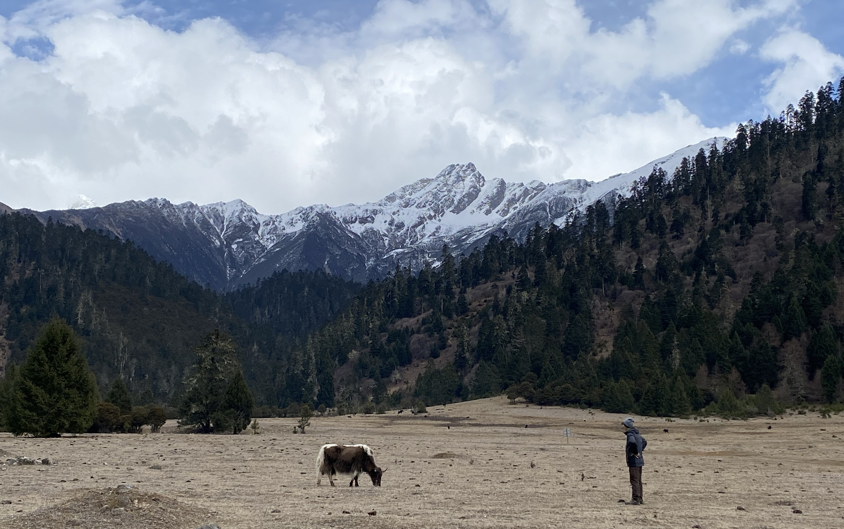 Study Links Aerosol Absorption to Qinghai-Tibet Plateau Warming