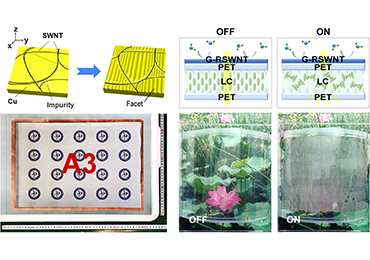 Large-area Preparation of Flexible Carbon Nanofilms with Synergistically Enhance Transmittance and Conductivity
