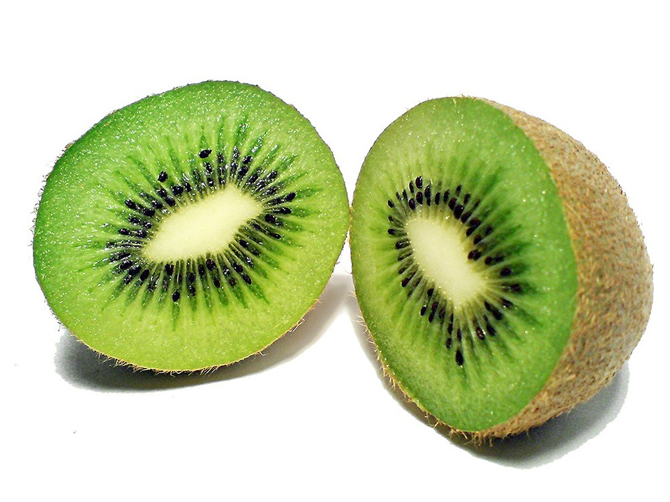 Leucine-Rich Repeat Receptor-Like Proteins Mediate Stress Response in Kiwifruit