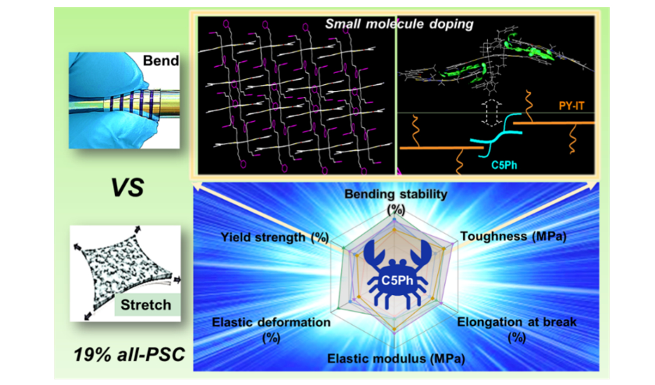 Scientists Achieve High Efficiency All-polymer Solar Cells Through Pincer-shaped Non-covalent Bond Interactions