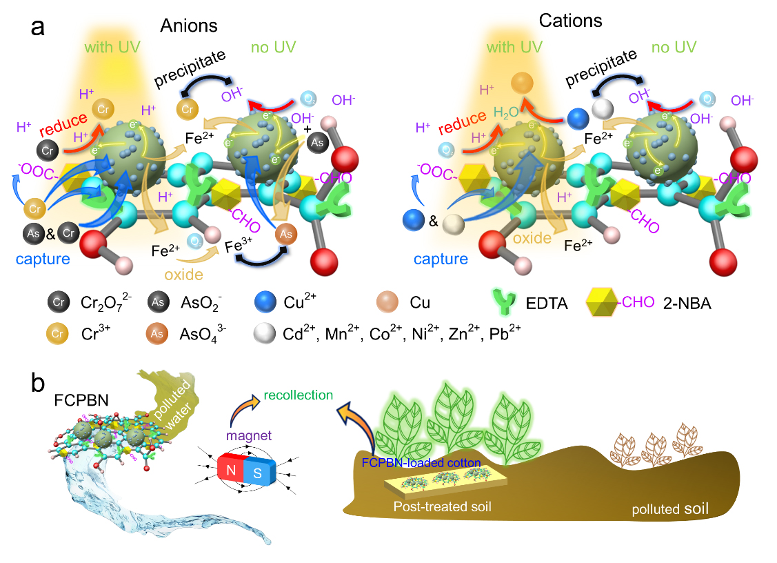 New Battery-Based Material Offers Hope for Cleaning Heavy Metal Ions from Water