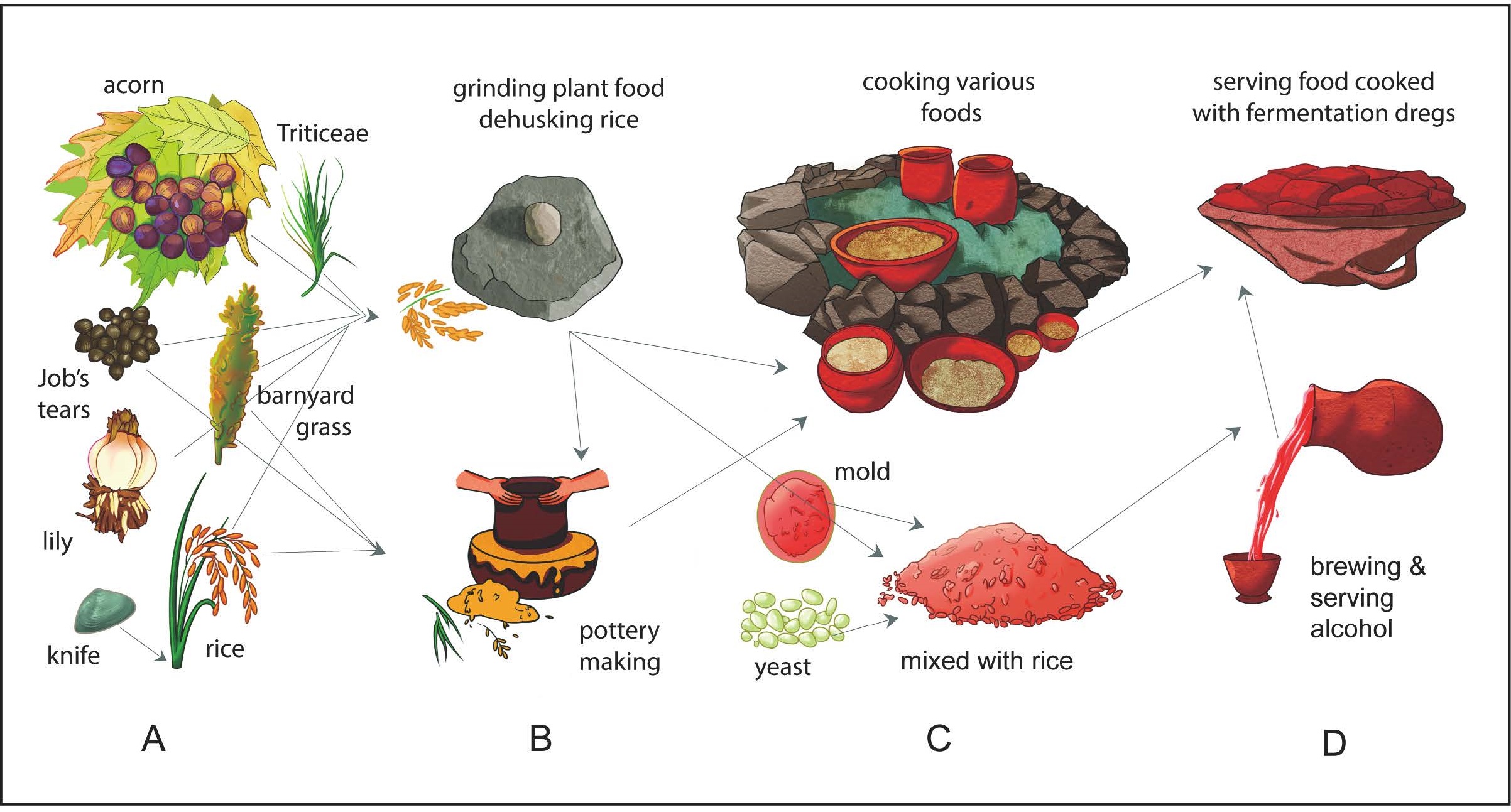 Traces of 10,000-Year-Old Ancient Rice Beer Discovered in Neolithic Site in Eastern China