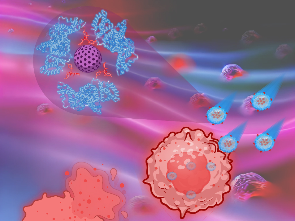 New Nano-Material Offers Hope for Smarter, Safer Cancer Treatment