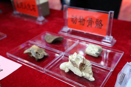 Researchers Confirm Earliest Archaeological Site on Qinghai-Tibet Plateau