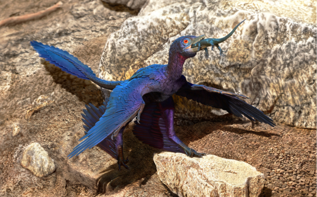 New Lizard Species Found in Flying Dinosaur Fossil