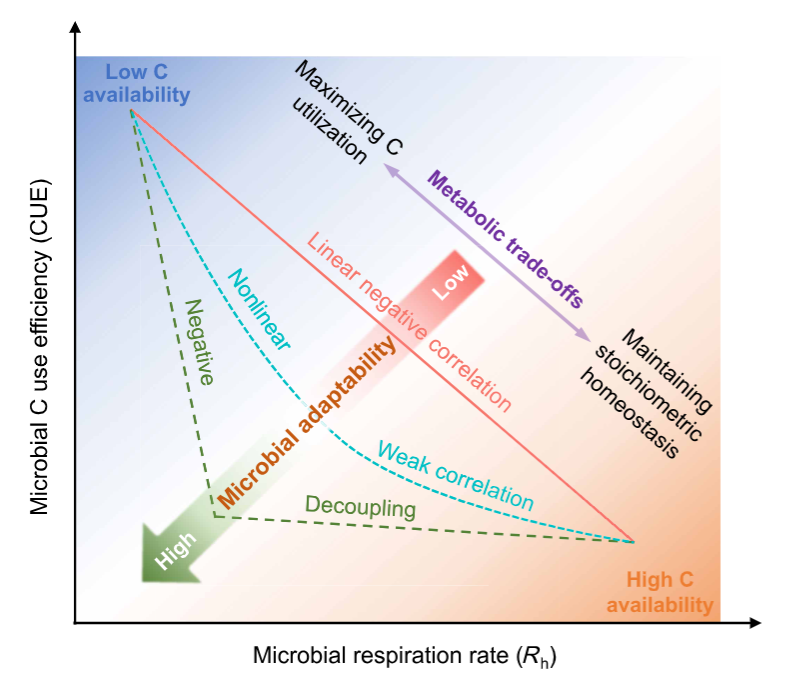 微生物の地球規模炭素循環への寄与を解明 (New Study Clarifies Microbial Role in Global Soil Carbon Cycle)