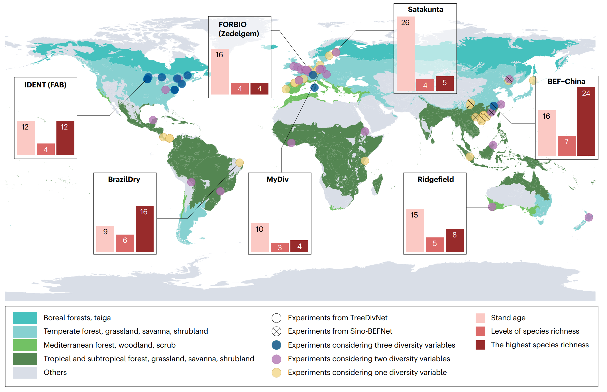 30 Years of Forest Biodiversity Experiments Offer New Evidence for Ecosystem Resilience