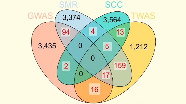Pangenome Unlocks Gene Expression Regulation of Wild Relative Introgressions in Wheat