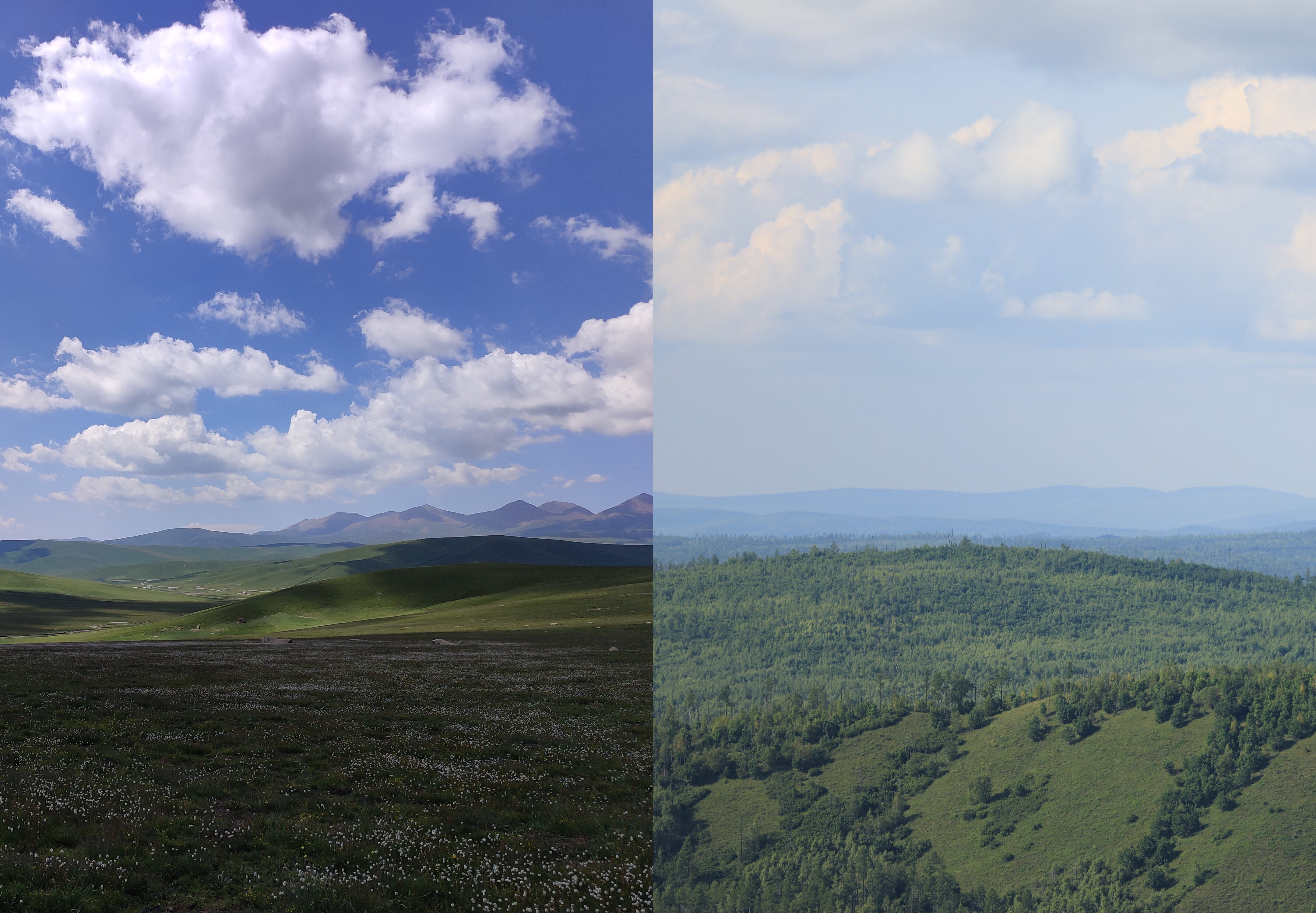 High-Latitude Permafrost Soils Are Far More Sensitive to Warming Than High-Altitude Counterparts