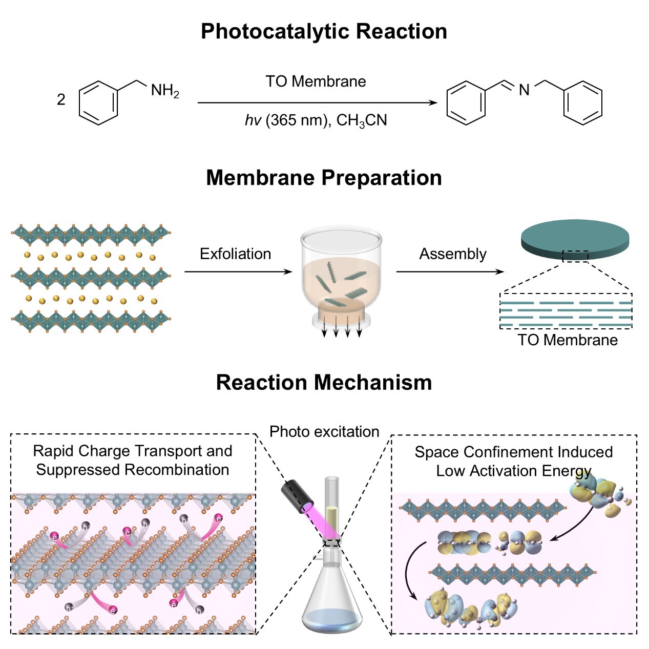 2次元膜反応器が光触媒合成を革新（New 2D Membrane Reactor Revolutionizes Photocatalytic Synthesis）