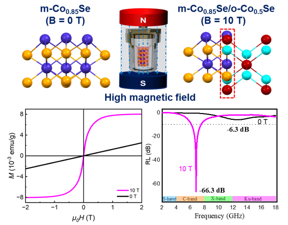高磁場により優れた電磁波吸収特性を持つCoxSeナノシート合成に成功（High Magnetic Field Enables Synthesis of Heterophase CoxSe Nanosheets with Exceptional Microwave Absorption）