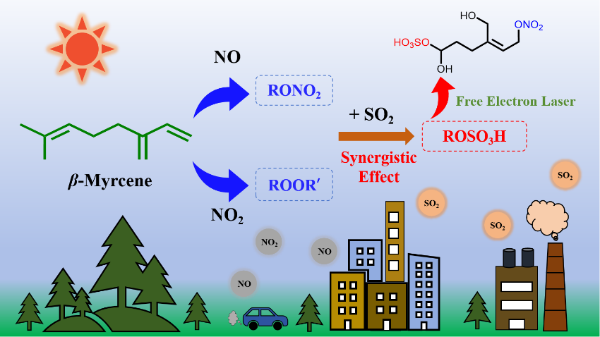 β-ミルセン光酸化におけるNO2とNOの異なる役割とSO2との相乗効果を解明 (Researchers Reveal Distinct Roles of NO2 versus NO and Synergisms with SO2 on β-Myrcene Photooxidation)