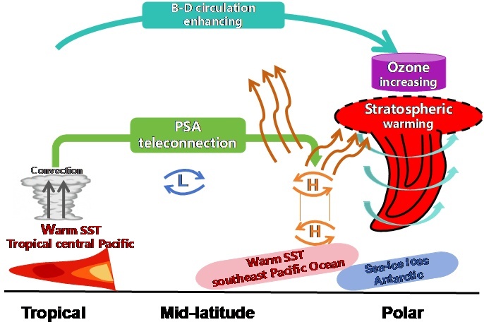 太平洋の温暖化が南極成層圏に影響するメカニズムを解明（From Tropics to Poles: How Pacific Ocean Warming Sets the Stage for Antarctic Stratospheric Changes Months Later）