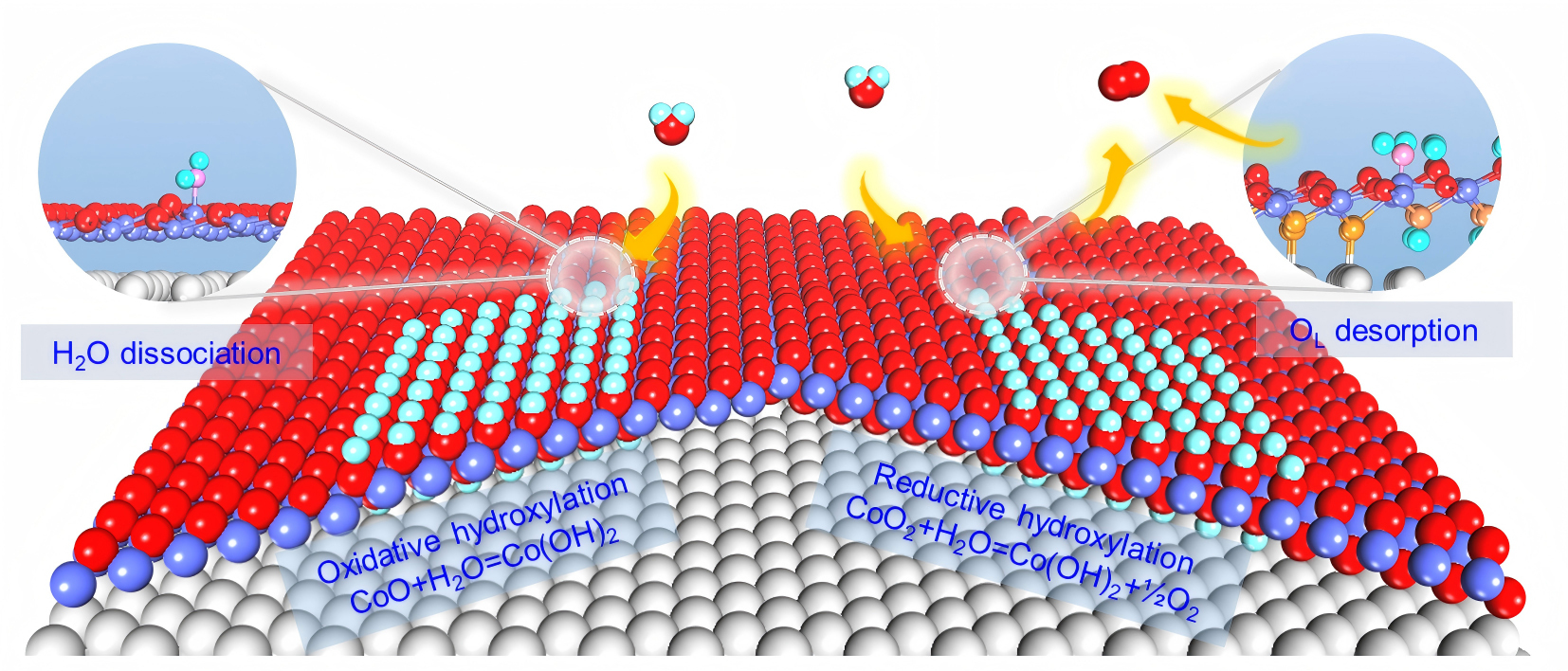 CoOxナノ構造における水誘起水酸化の原子機構を解明（Researchers Uncover Atomic Mechanism of Water-Induced Hydroxylation in CoOx Nanostructures）