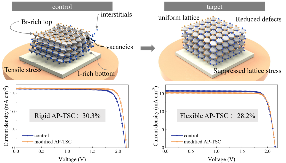 化学硬度工学によりペロブスカイトタンデム太陽電池効率30.3%を達成（Chemical Hardness Engineering Boosts Perovskite Tandem Efficiency to 30.3%）