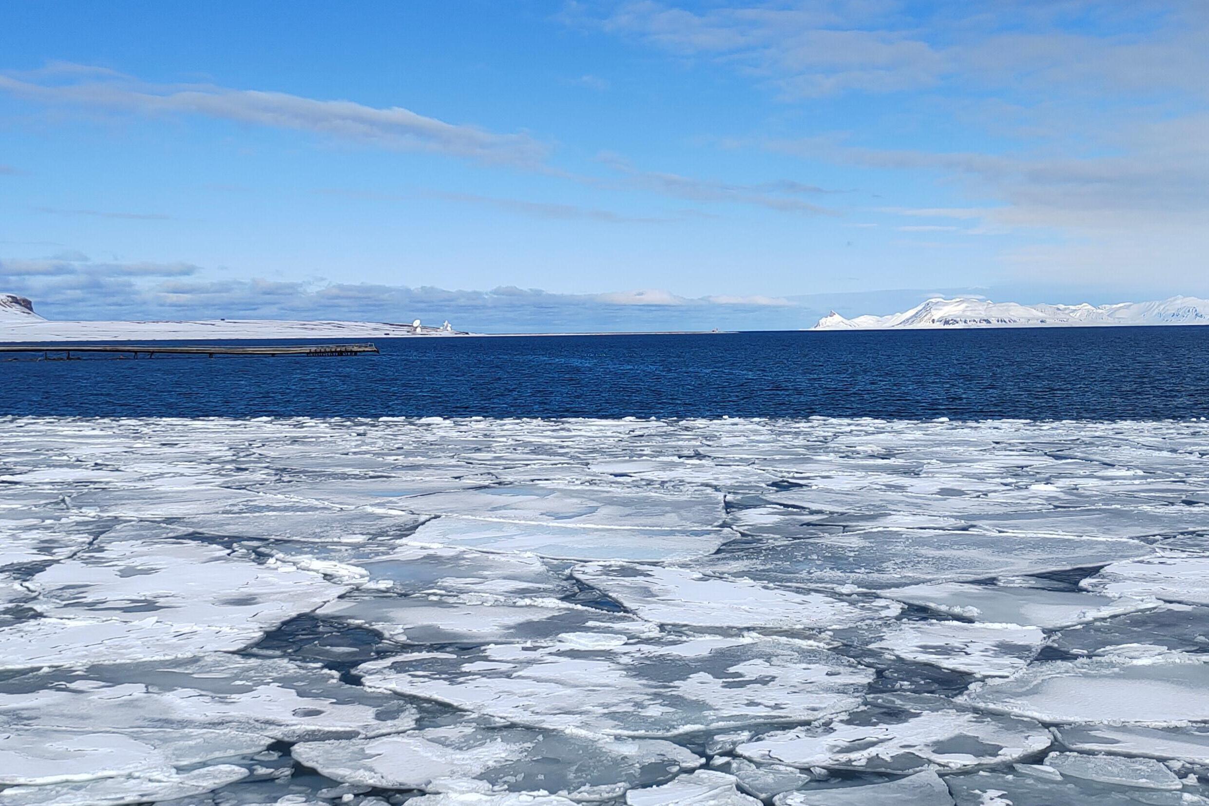 Long-term Observations Reveal Sources of Reactive Bromine in Arctic Troposphere and Their Impacts on Atmospheric Oxidative Capacity in Polar Regions