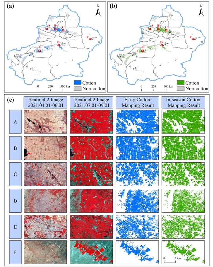 New Method Enables Early‑Season Cotton Mapping in Xinjiang—-Chinese Academy of Sciences  english.cas.cn