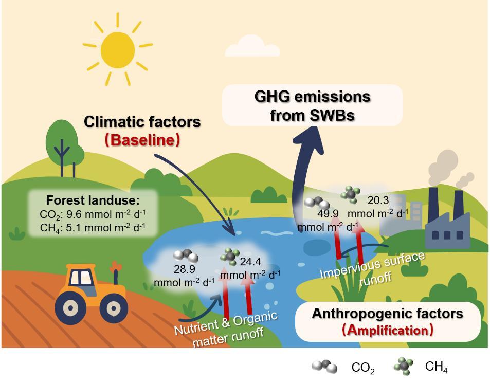 Human Activities Intensify Small Water Bodies' Greenhouse Gas Emissions