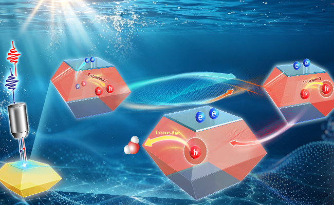 Study Tracks Photogenerated Hole Evolution from Separation to Transfer in Photocatalysis