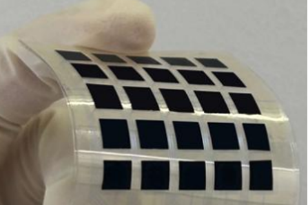 Homologous Perception: Bio-inspired Flexible Sensor Enables Co-located, Synchronous Photoelectric and Pressure Sensing