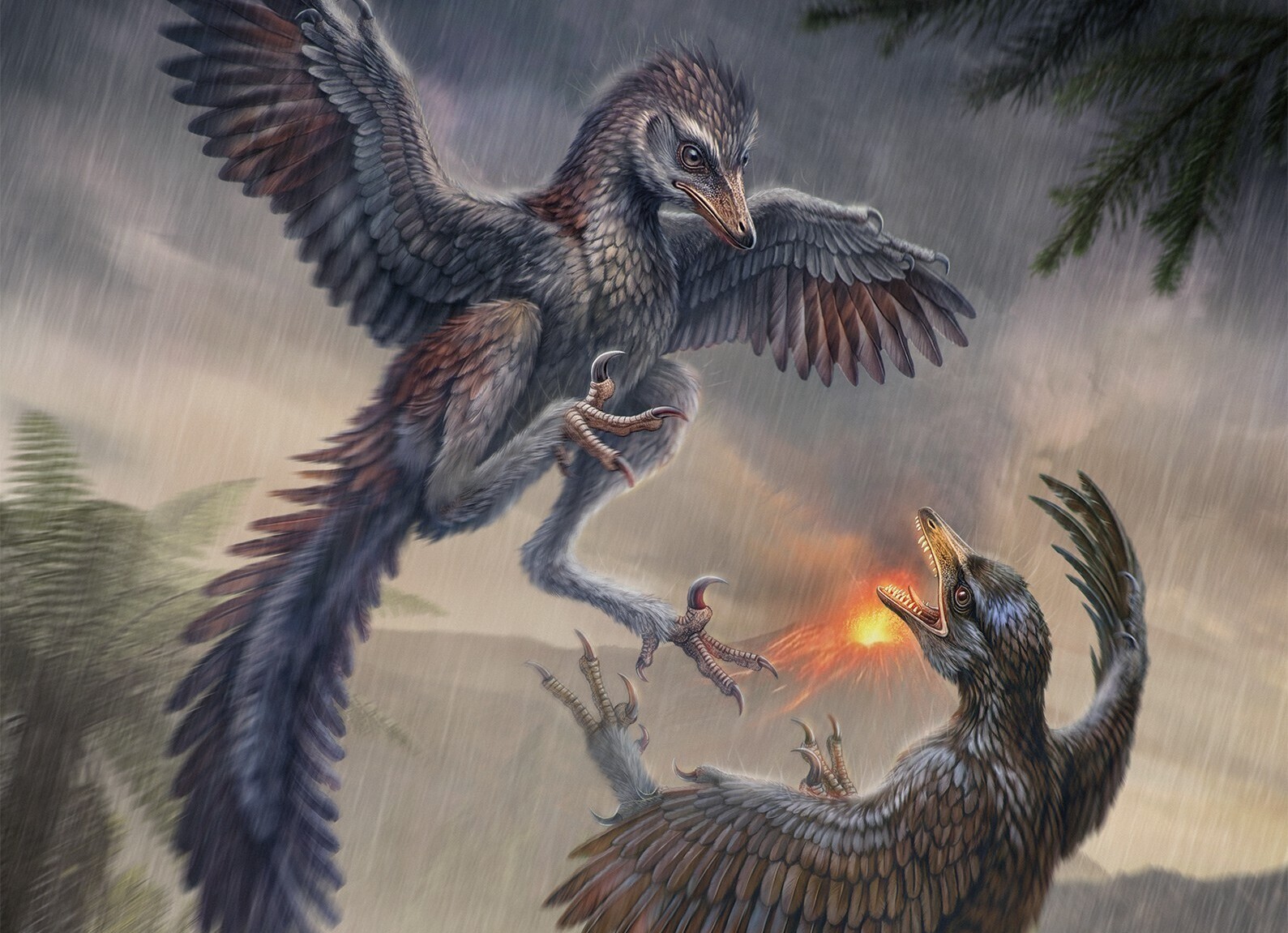 Not All Early Birds Evolved Toward Better Flight, Jurassic Fossil Suggests