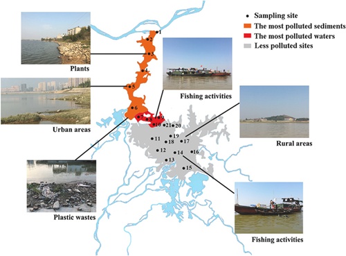 Pollution status and potential sources of microplastics in Poyang Lake(Image by YUAN Wenke).jpg