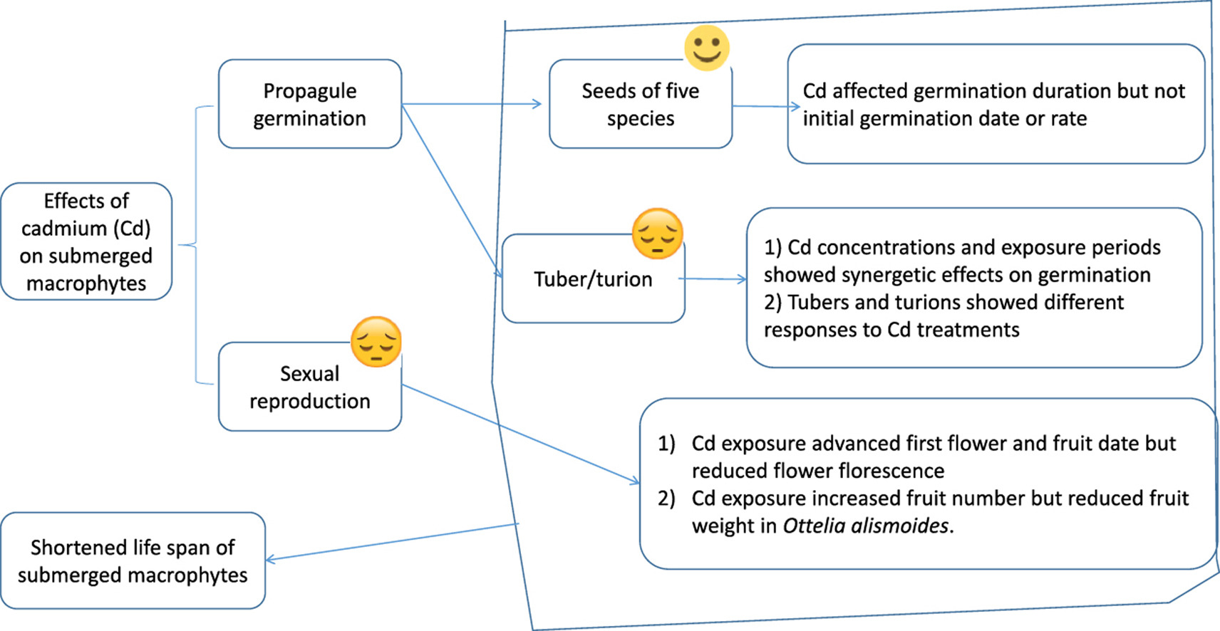 The seeds are resilient to Cd exposure but not so for tuberturion or sexual reproduction.(Image by WBG).jpg