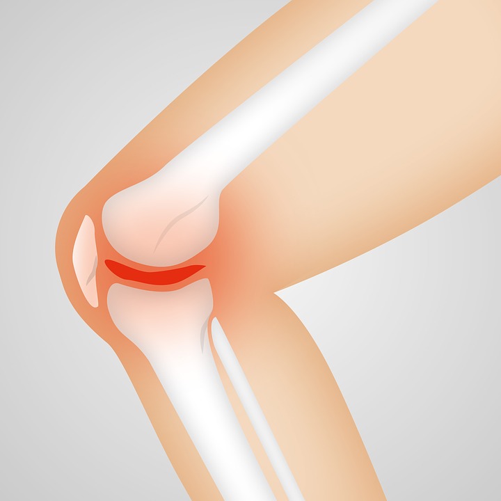 Rejuvenation of Aging Cells Helps to Cure Osteoarthritis Through Gene Therapy