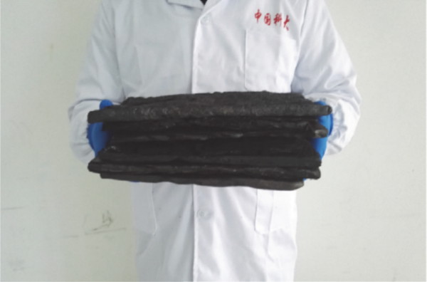 Solid Acid Catalysts (SACs) made from becterial cellulose (BC).