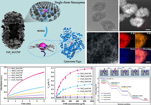 Single-atom Nanozymes.jpg