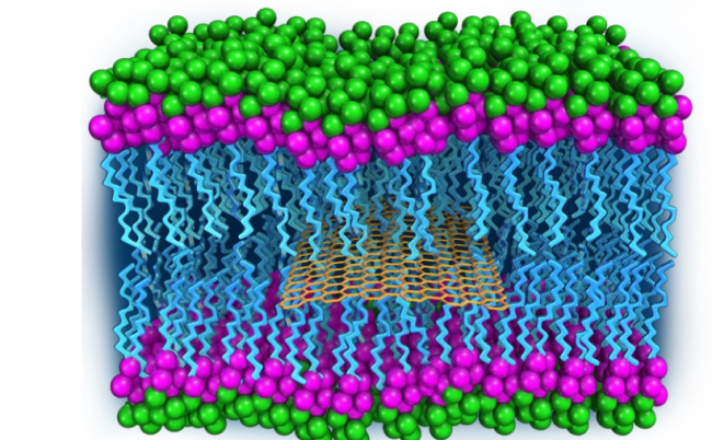 Sandwiched Graphene-membrane Superstructure.png