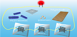 Schematic of the fabrication of 2D mesoporous polymer.jpg
