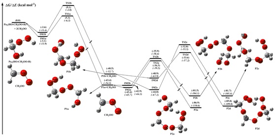 Reaction mechanism.jpg