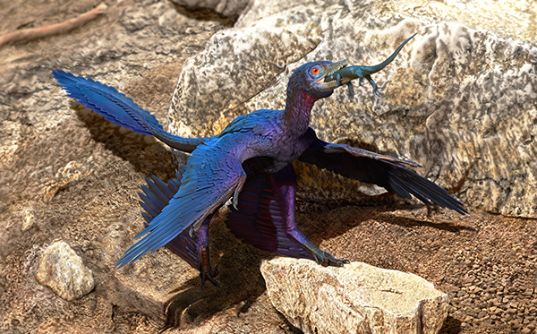 New Species of Lizard Found in Stomach of Microraptor