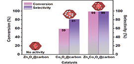 Scientists Develop Non-Precious Metal Catalytic System for High Efficiency Hydrogenation of Nitroarenes