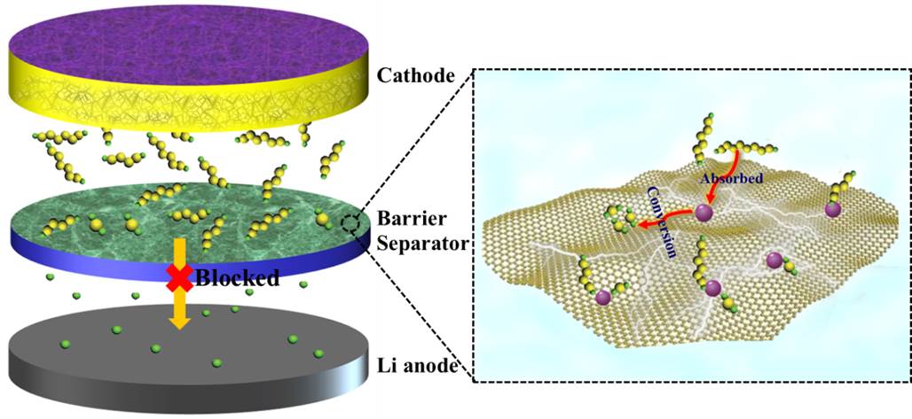 Separator Modified by Cobalt-embedded Carbon Nanosheets Enables Chemisorption and Catalytic Effects of Polysulfides for High-energy-density Lithium-sulfur Batteries