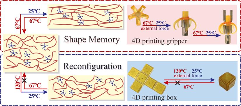 4D printing;photocurable shape memory polymer;permanent shape reconfigurability;shape memory;4D printing;reconfiguration;HPASi;
